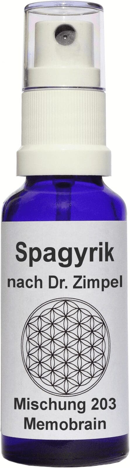 SPAG. MEMOBRAIN 203