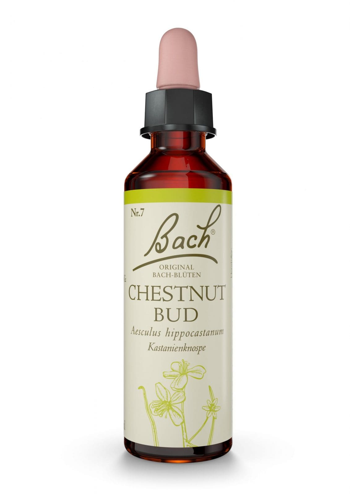 Original Bach®-Blüte Chestnut Bud